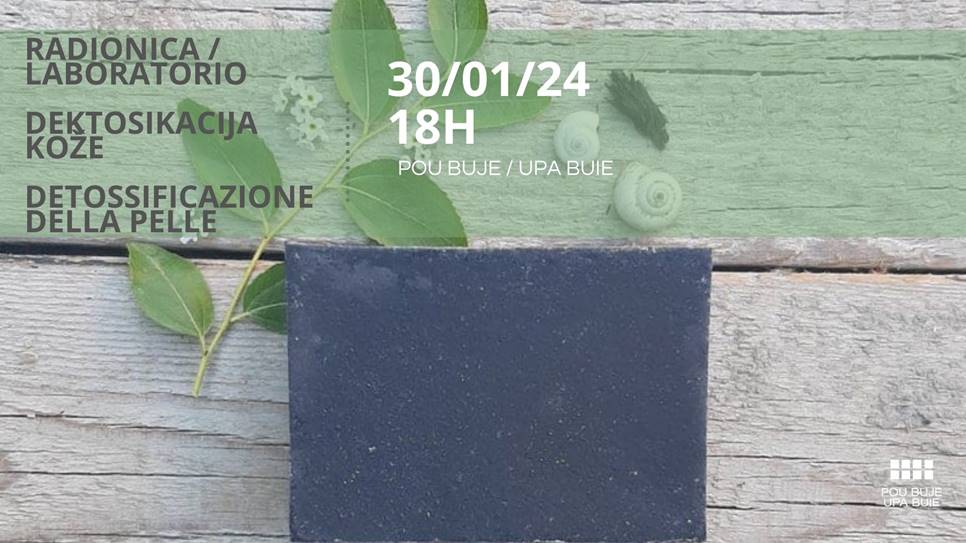RADIONICA – DETOKSIKACIJA KOŽE
